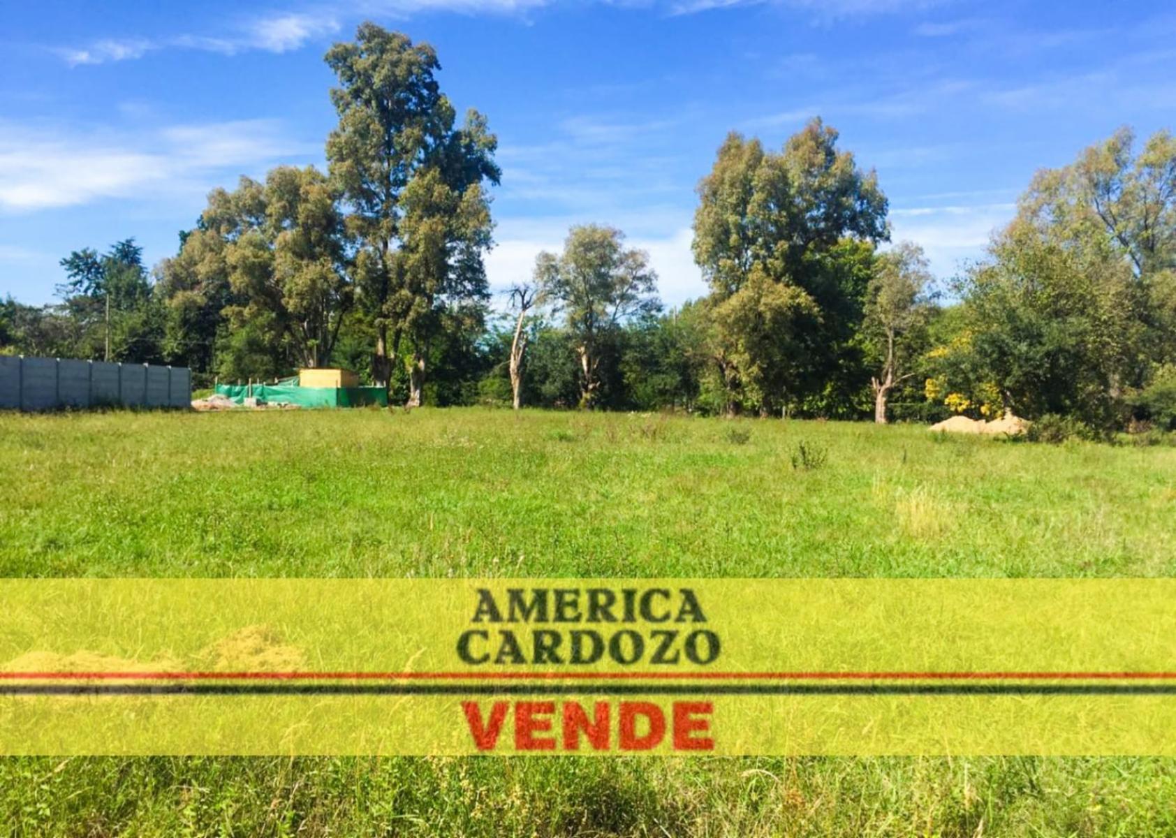Intendente Luis Tulissi 4620 · Moreno — foto 3