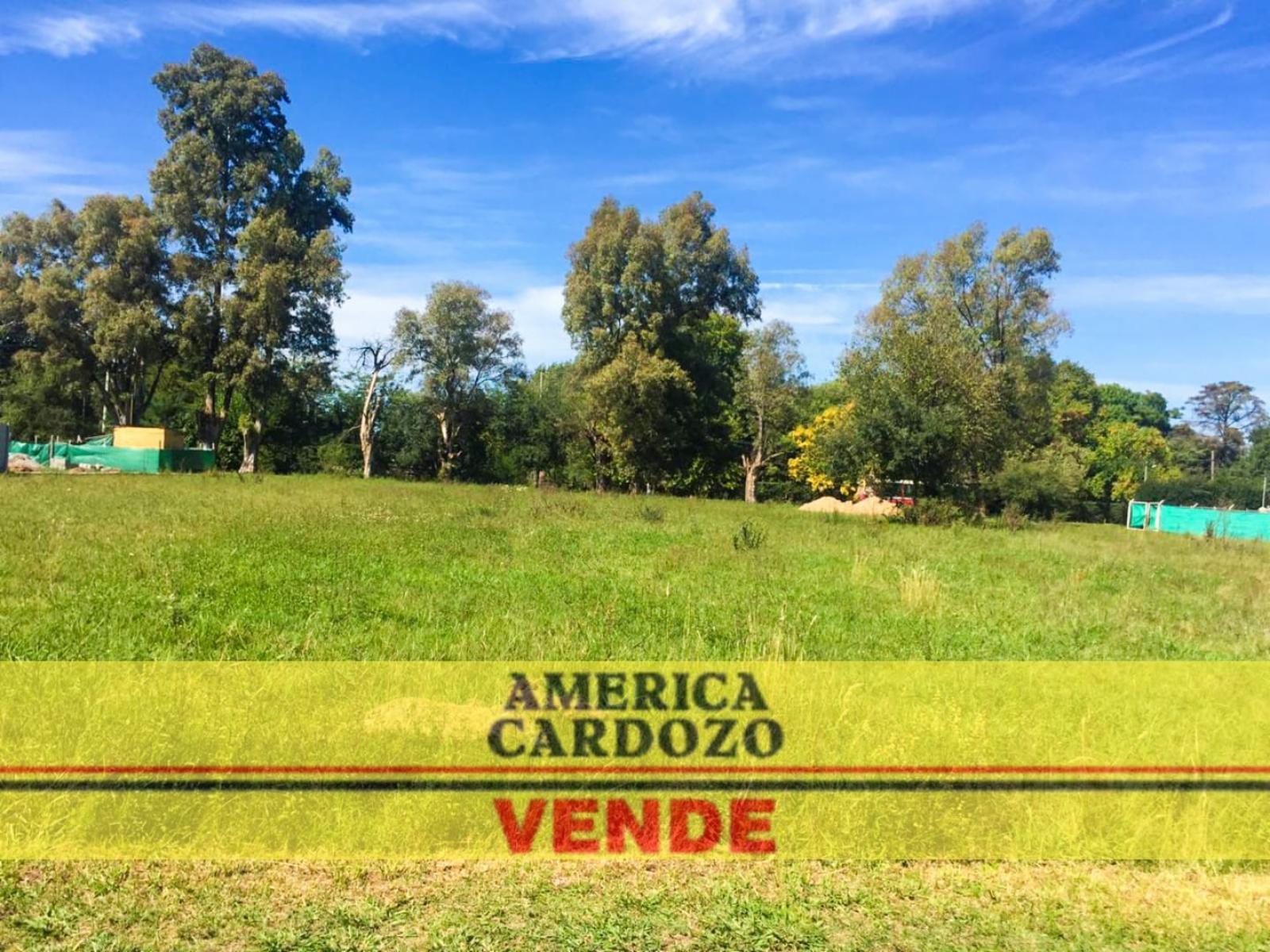 Intendente Luis Tulissi 4620 · Moreno — foto 4