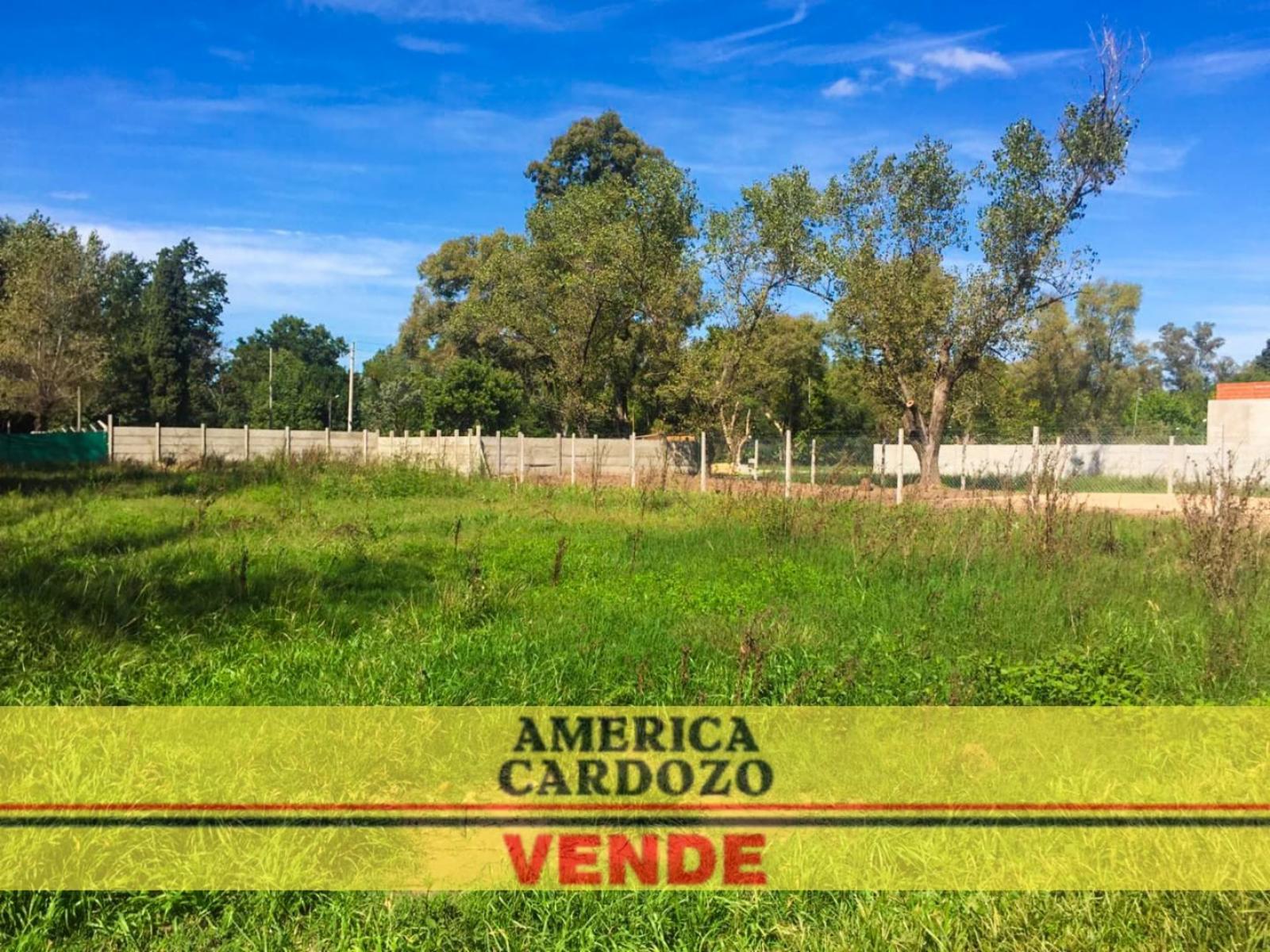 Intendente Luis Tulissi 4620 · Moreno — foto 6