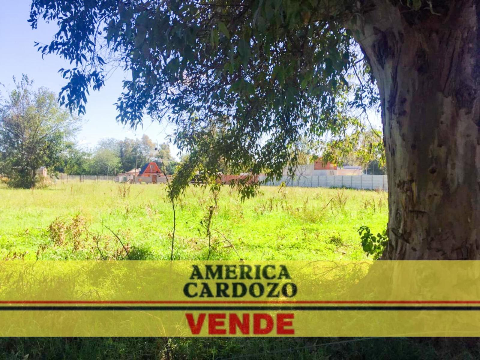 Intendente Luis Tulissi 4620 · Moreno — foto 8