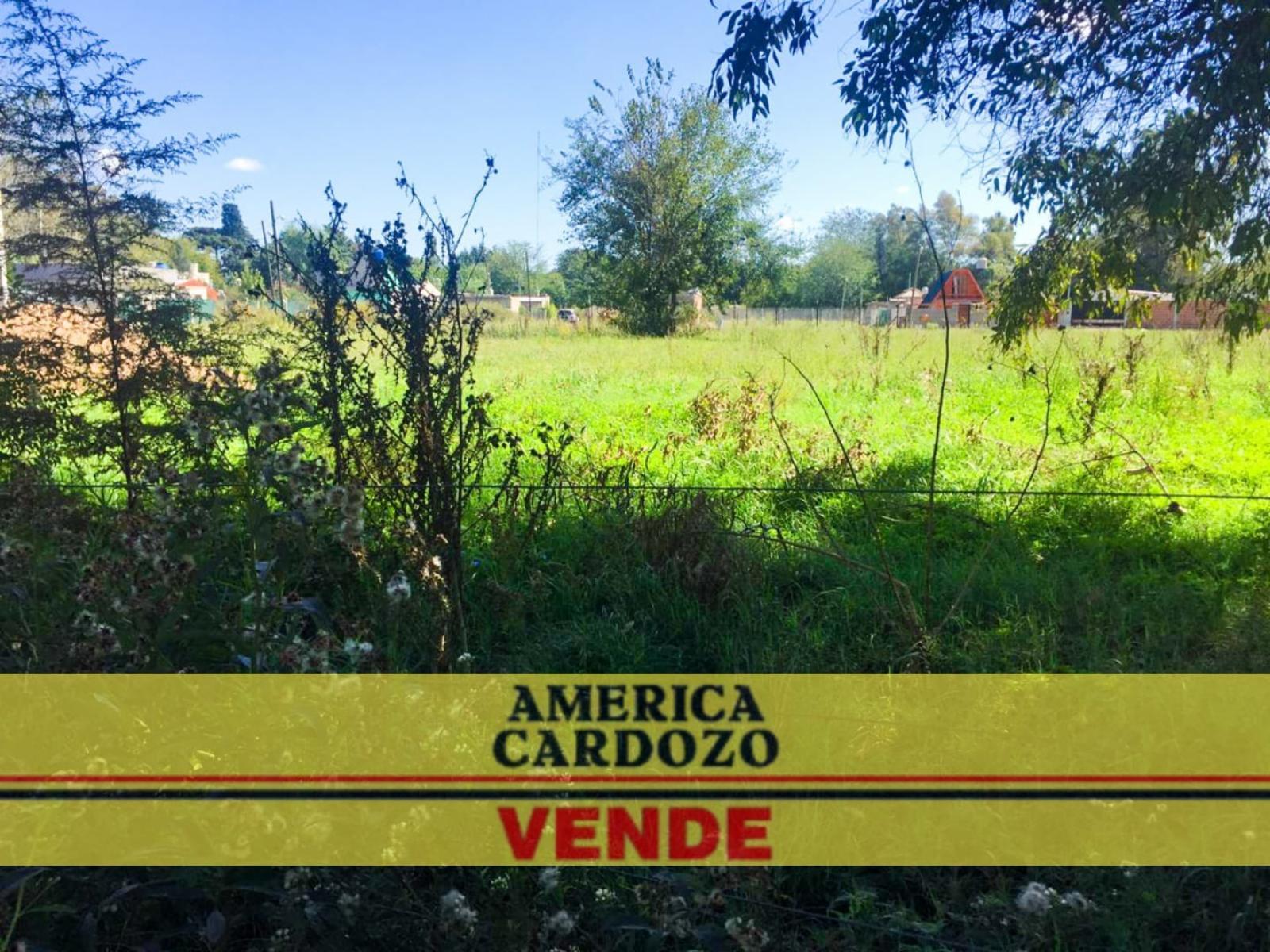 Intendente Luis Tulissi 4620 · Moreno — foto 9