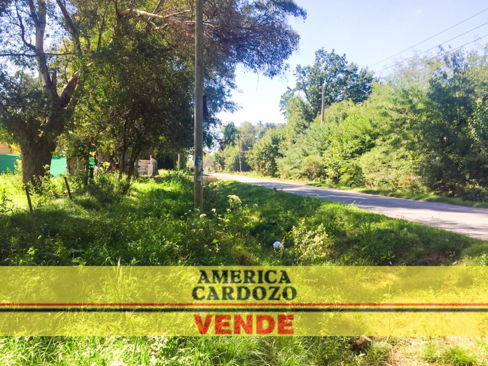 Intendente Luis Tulissi 4620 · Moreno — foto 10