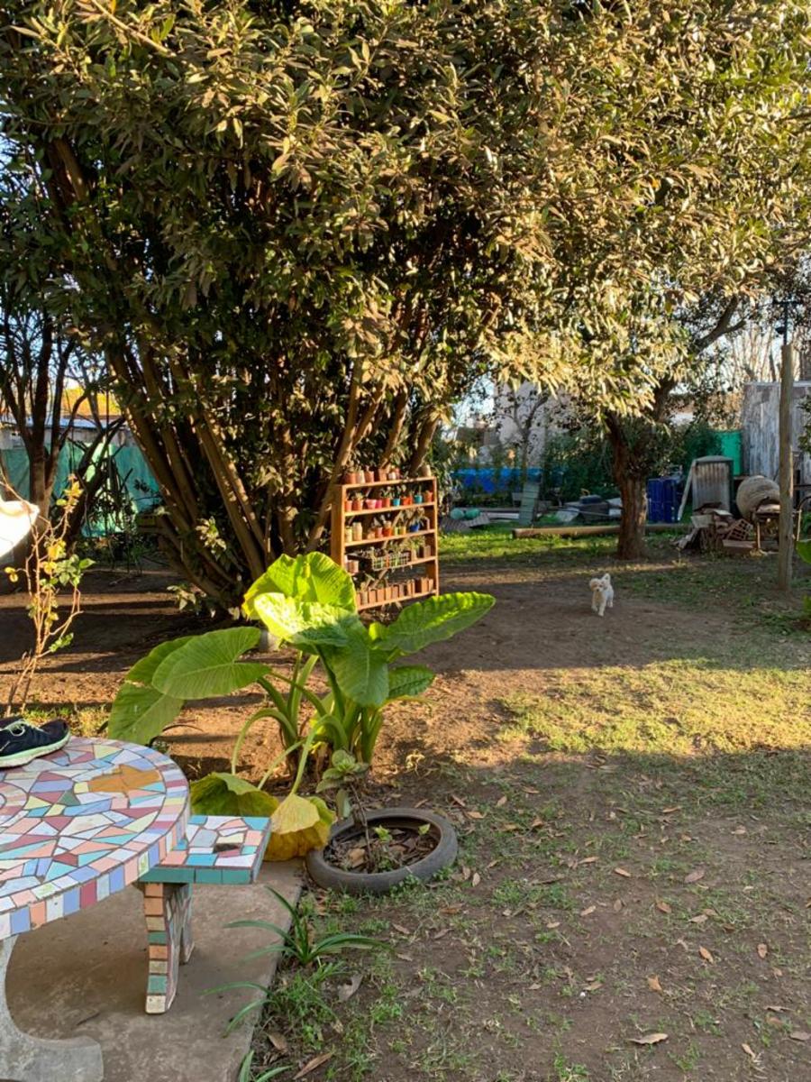 Av. Republica 1400 · Junín — foto 10