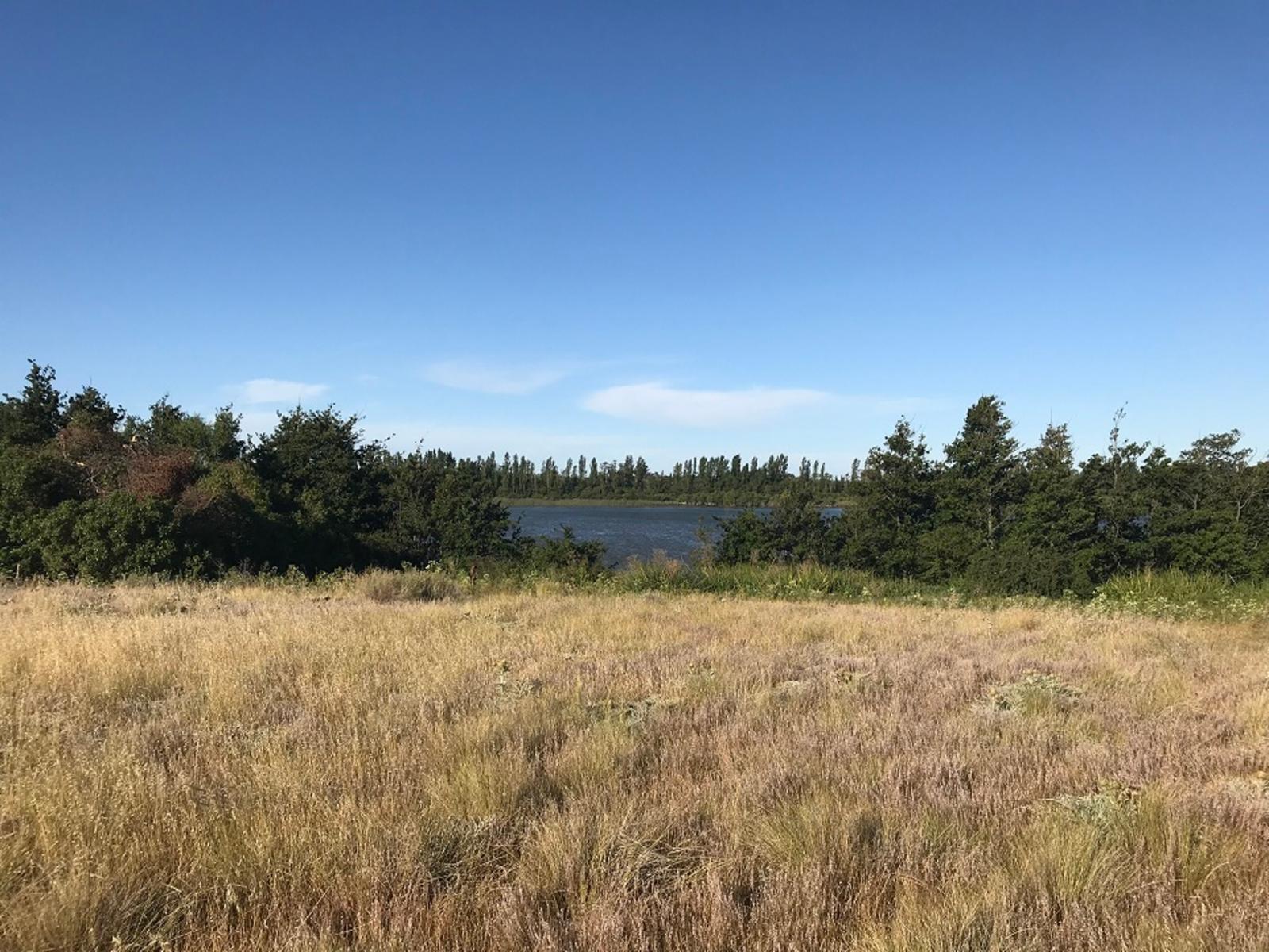 RUTA PROVINCIAL Nº1 · Adolfo Alsina — foto 11