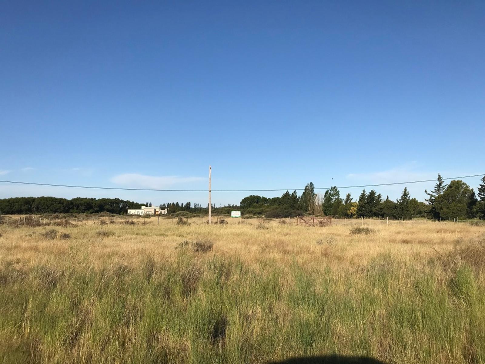 RUTA PROVINCIAL Nº1 · Adolfo Alsina — foto 12