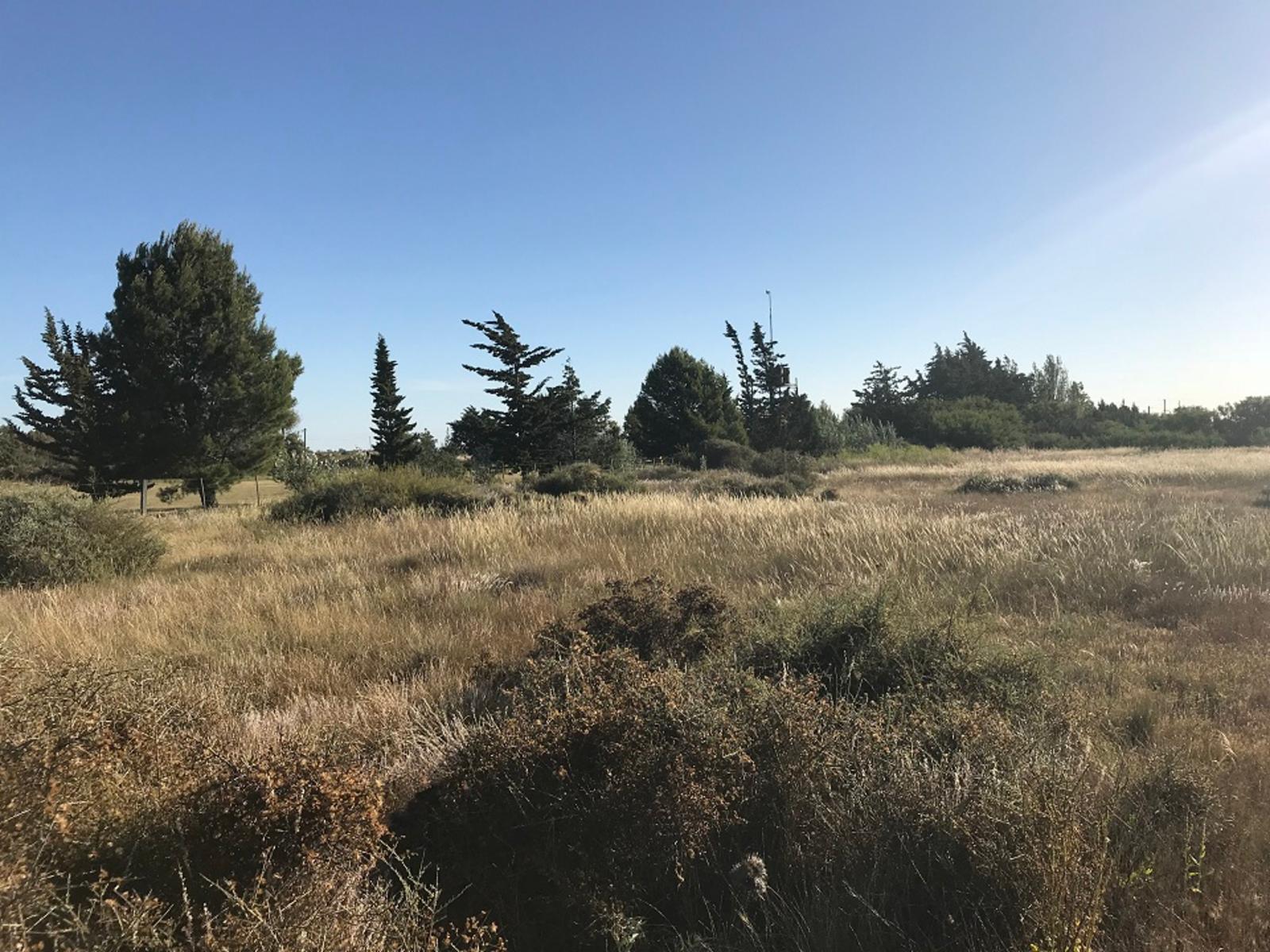 RUTA PROVINCIAL Nº1 · Adolfo Alsina — foto 15