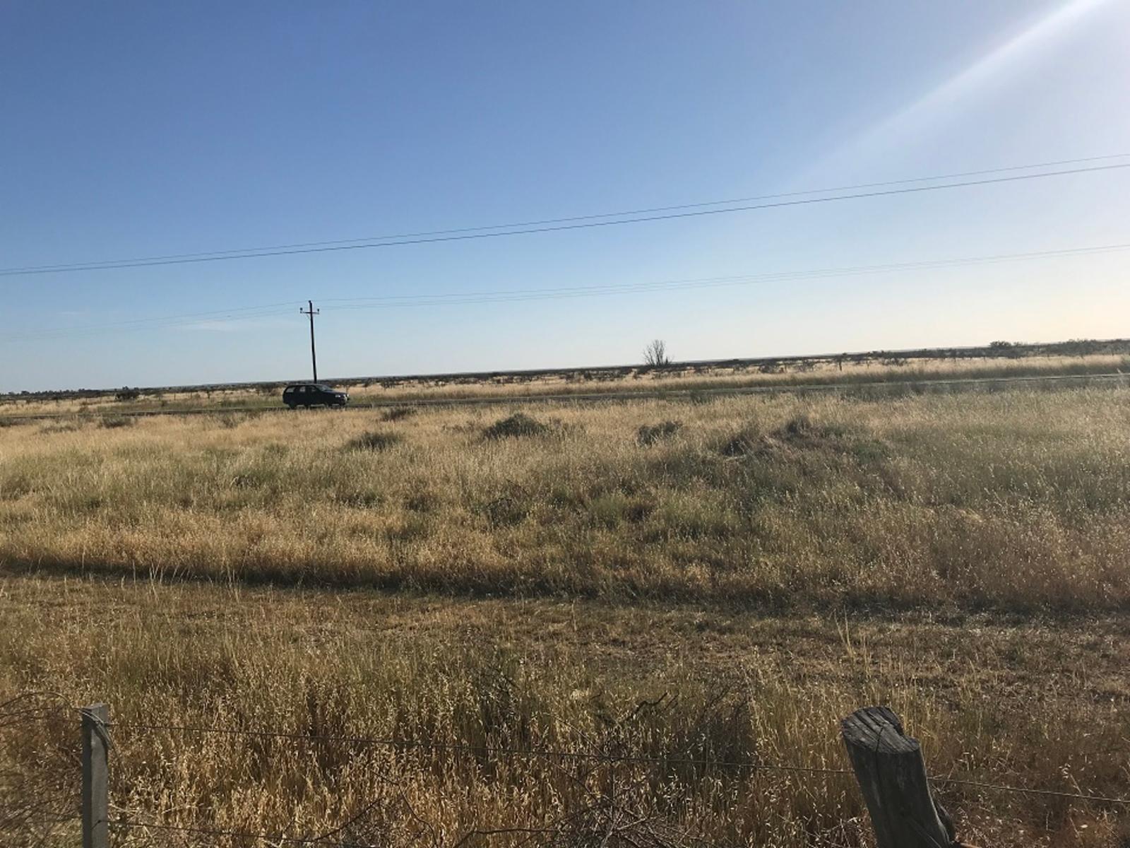 RUTA PROVINCIAL Nº1 · Adolfo Alsina — foto 16