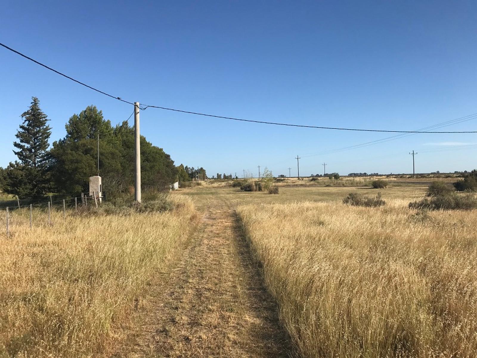 RUTA PROVINCIAL Nº1 · Adolfo Alsina — foto 5