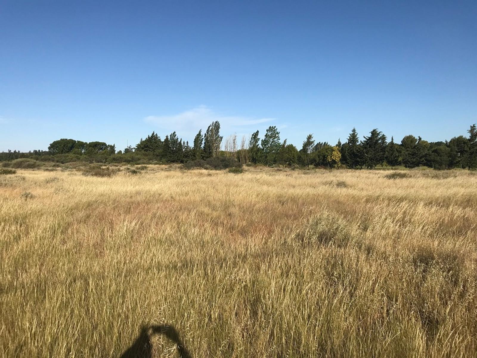 RUTA PROVINCIAL Nº1 · Adolfo Alsina — foto 6