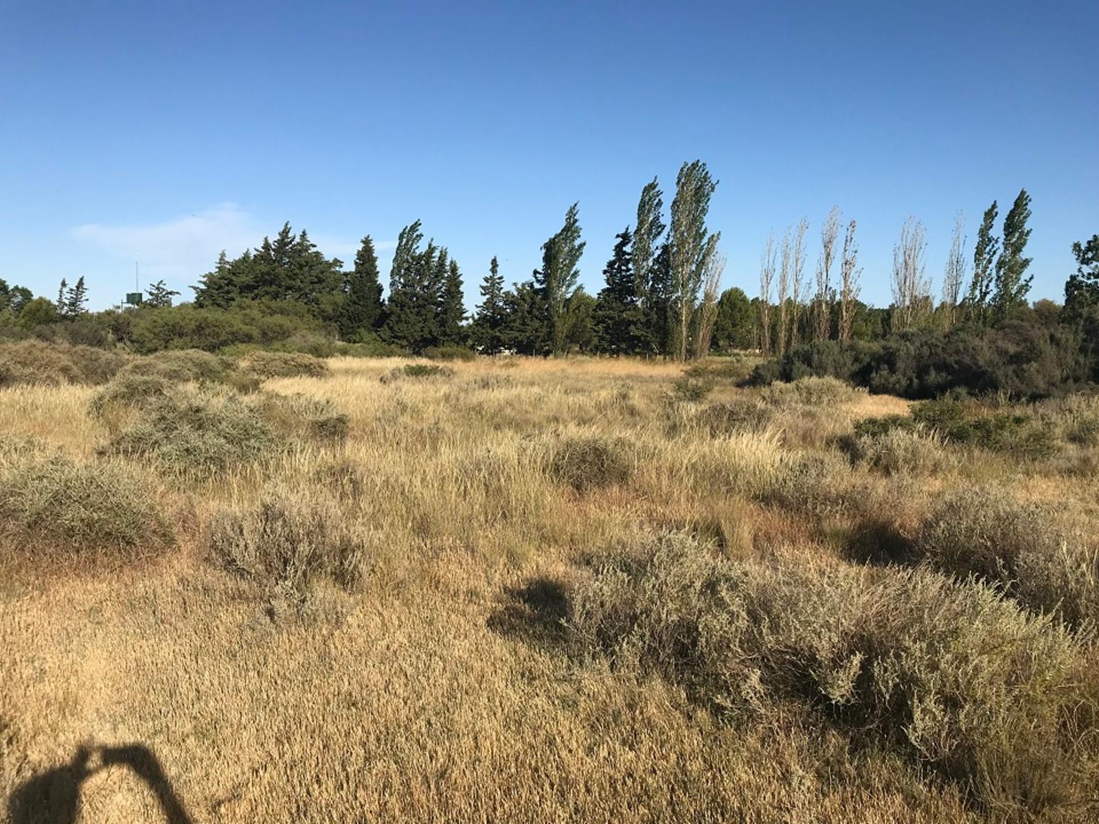 RUTA PROVINCIAL Nº1 · Adolfo Alsina — foto 7