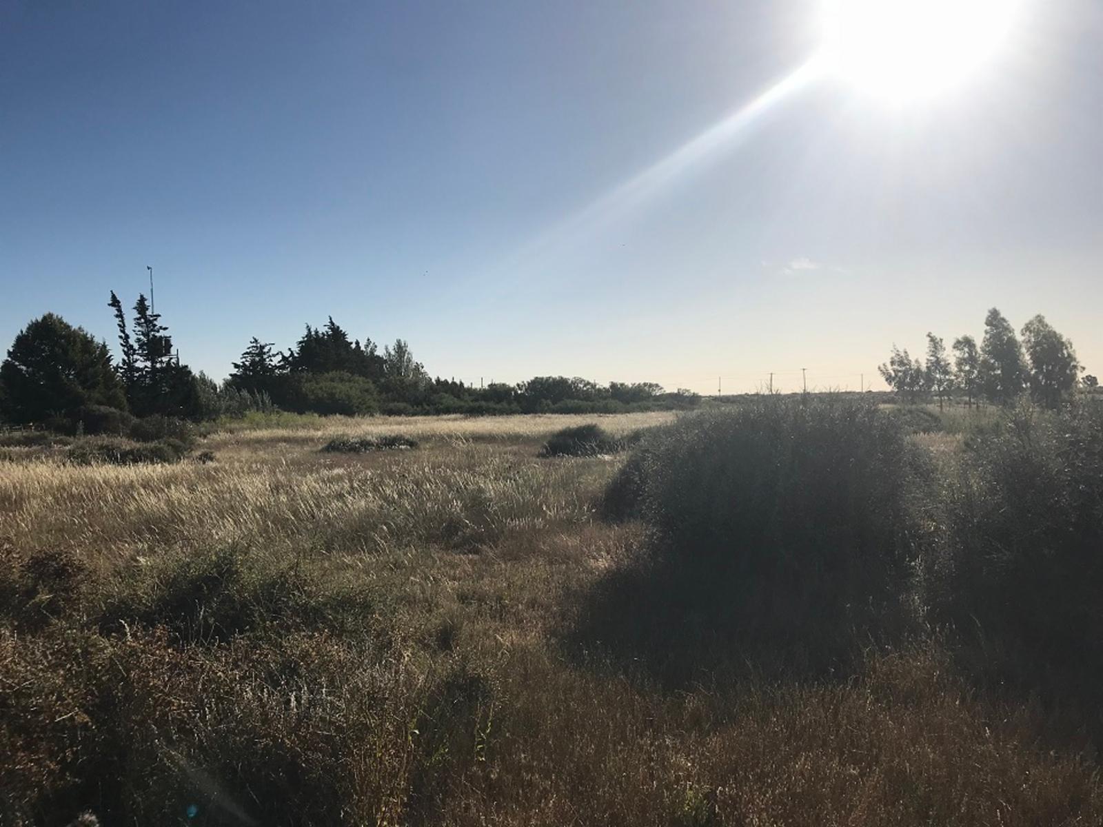 RUTA PROVINCIAL Nº1 · Adolfo Alsina — foto 8