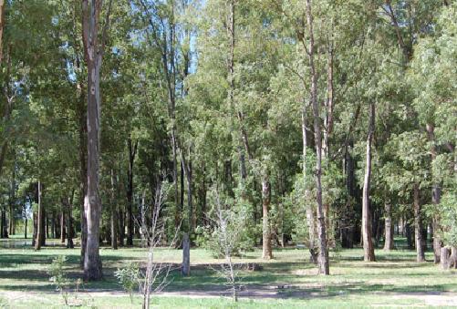Excelente lote de 1000m2 en Barrio Cerrado Don Joaquin - Canning