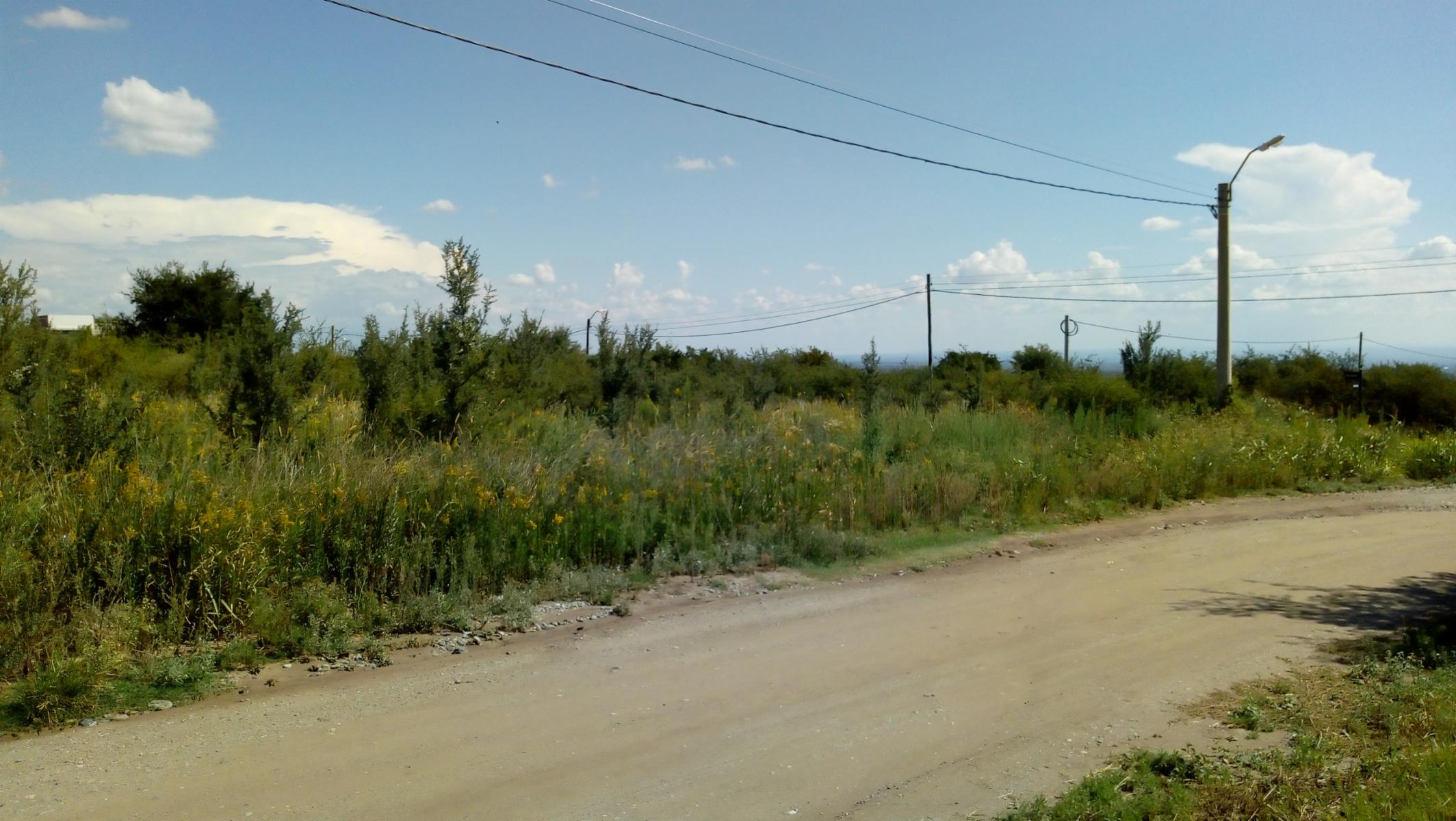 Avenida del deporte · Junín — foto 3