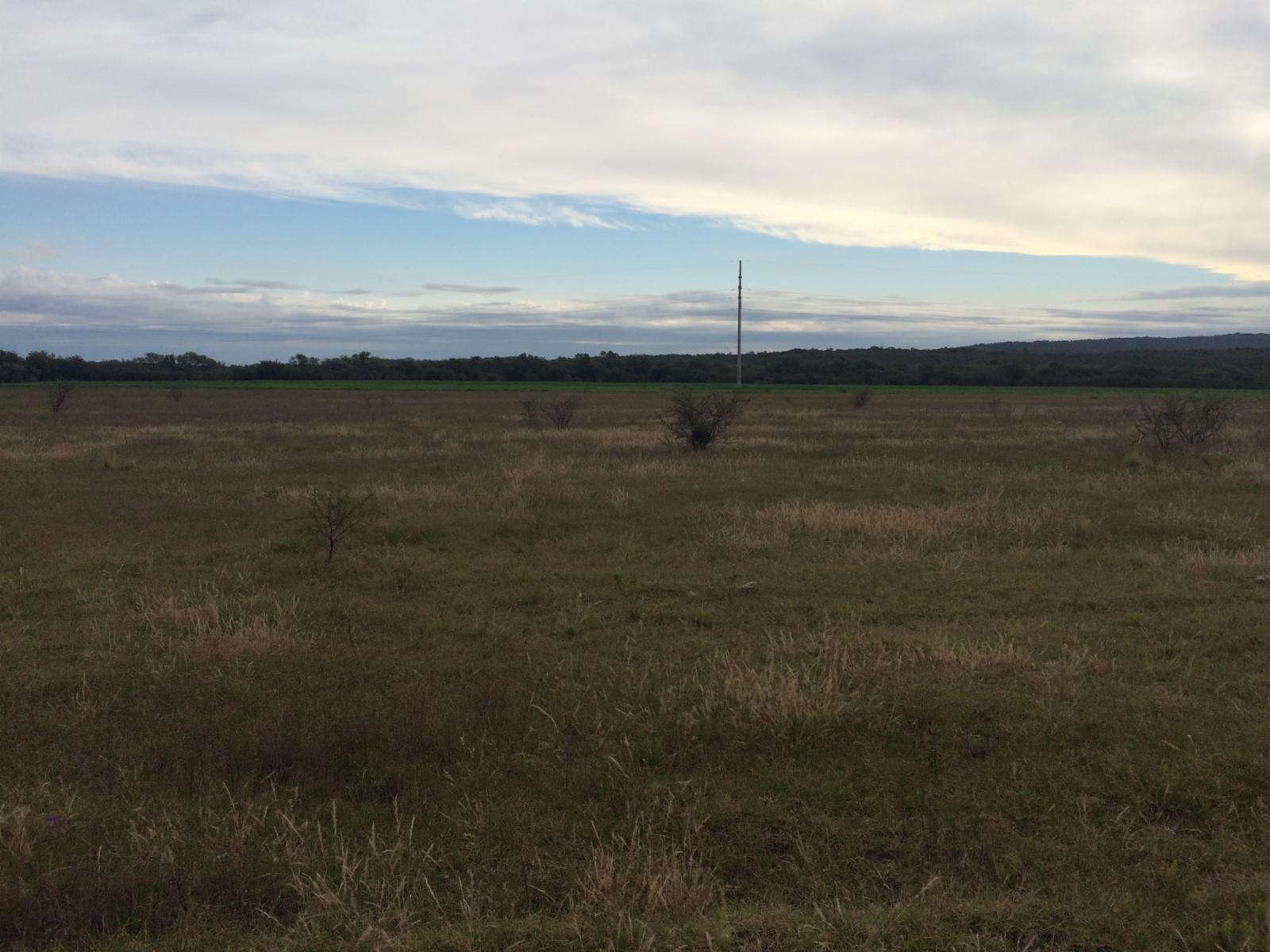 Villa de las Rosas · San Javier — foto 3