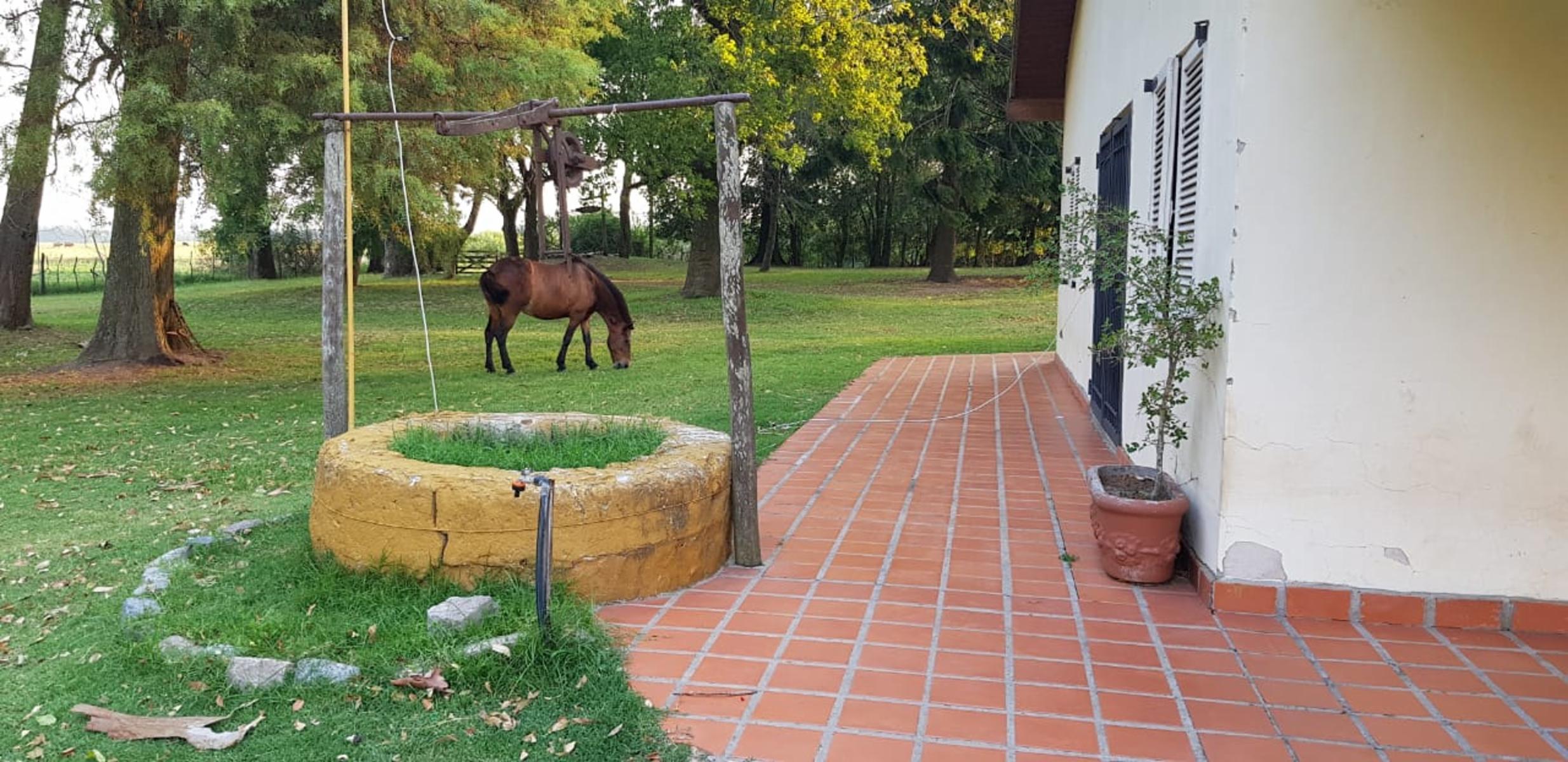COLONIA SUIZA - BARADERO · Baradero — foto 16