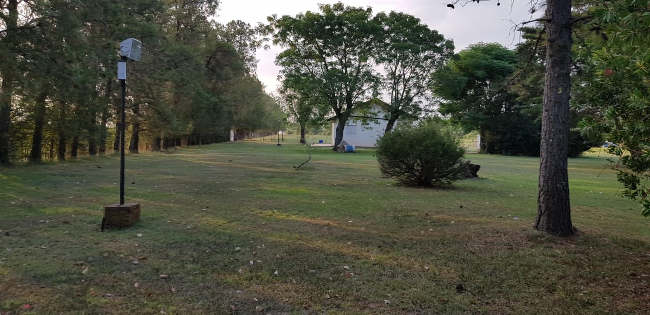 COLONIA SUIZA - BARADERO · Baradero — foto 18
