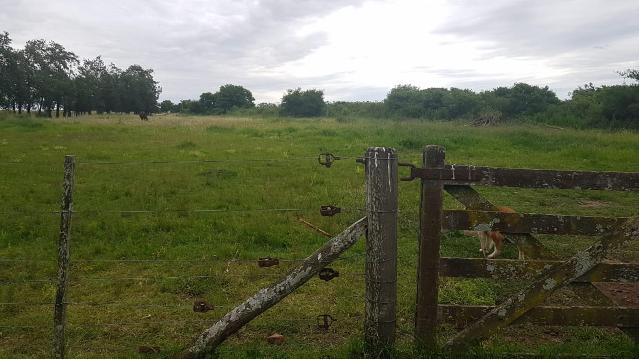 COLONIA SUIZA - BARADERO · Baradero — foto 9