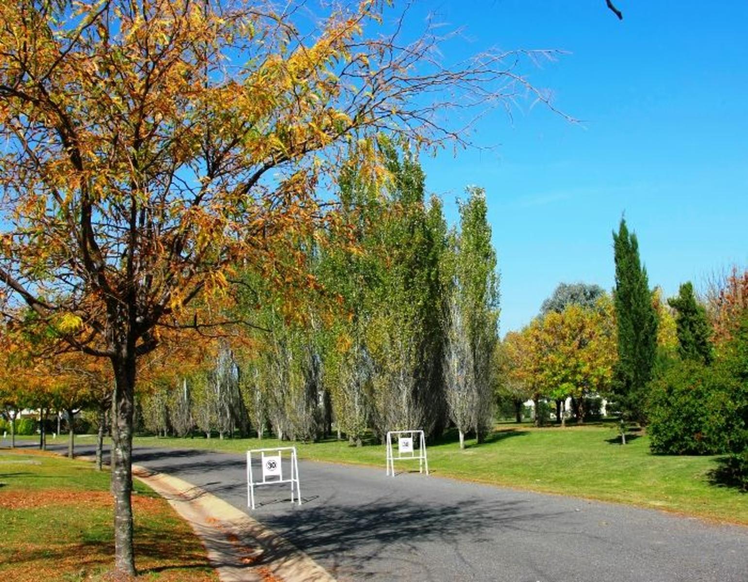 Av. Honorio Pueyrredon · Pilar — foto 6