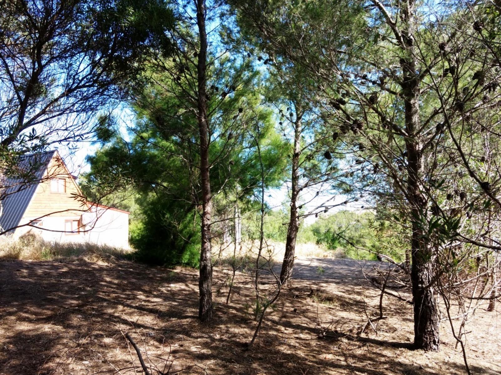 Rodriguez Peña 1835 · Monte Hermoso — foto 3