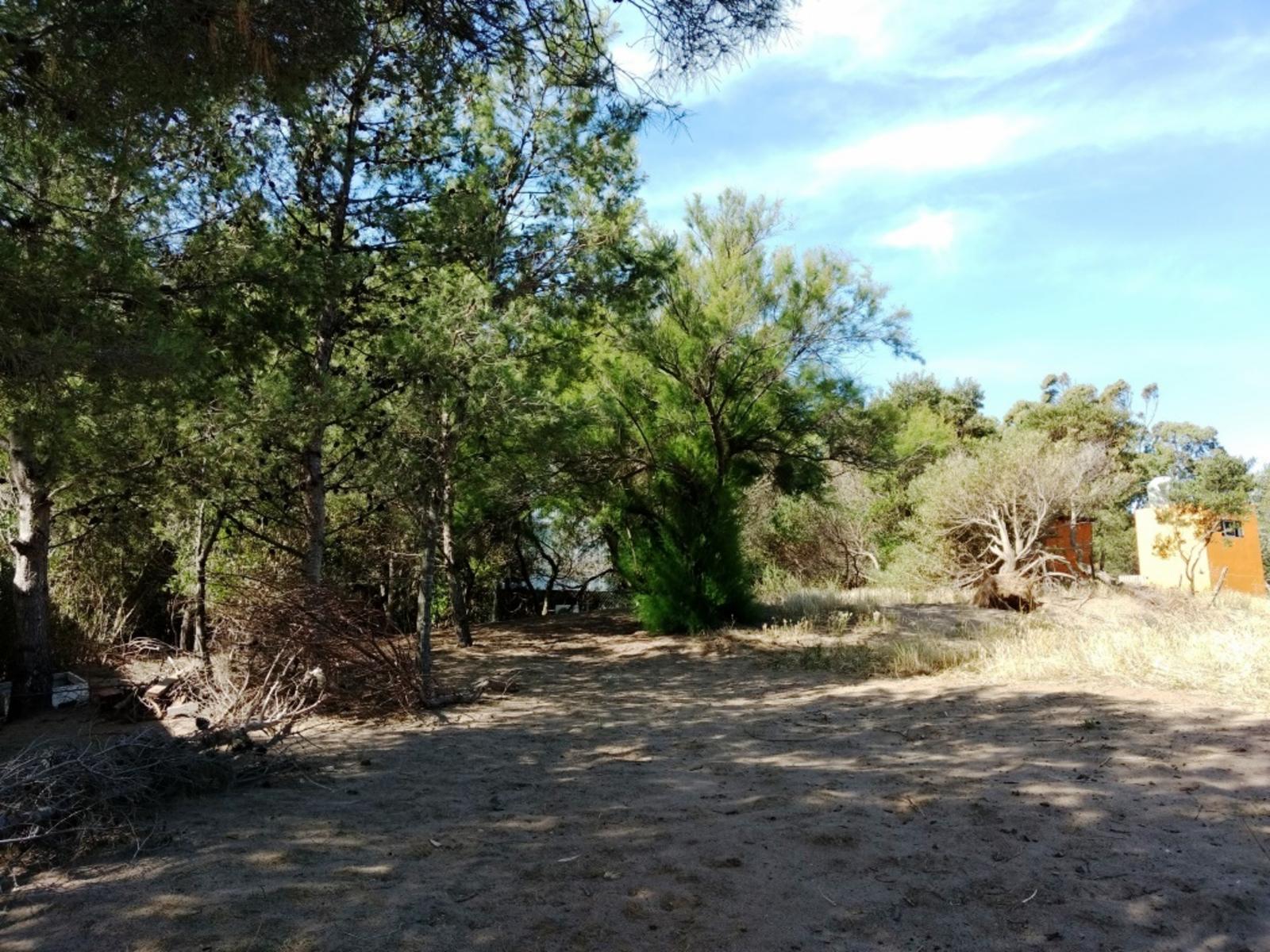 Rodriguez Peña 1835 · Monte Hermoso — foto 4