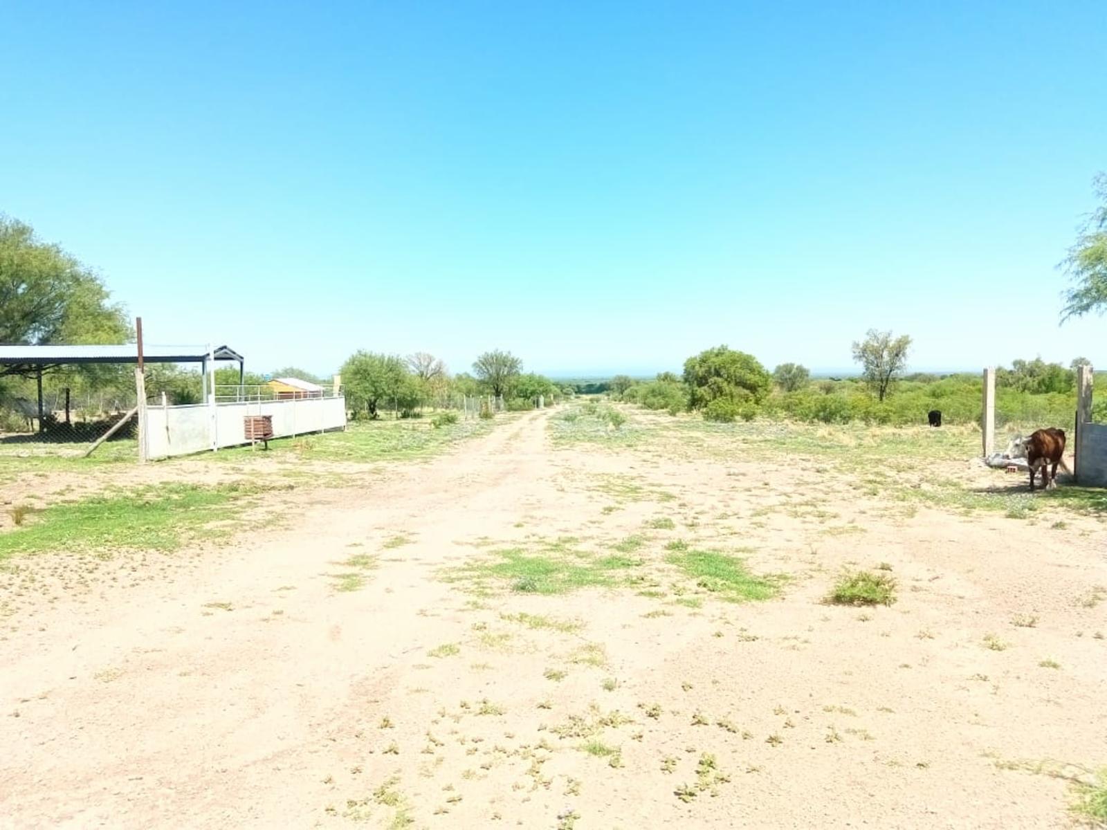 RUTA 3 · Belgrano — foto 7