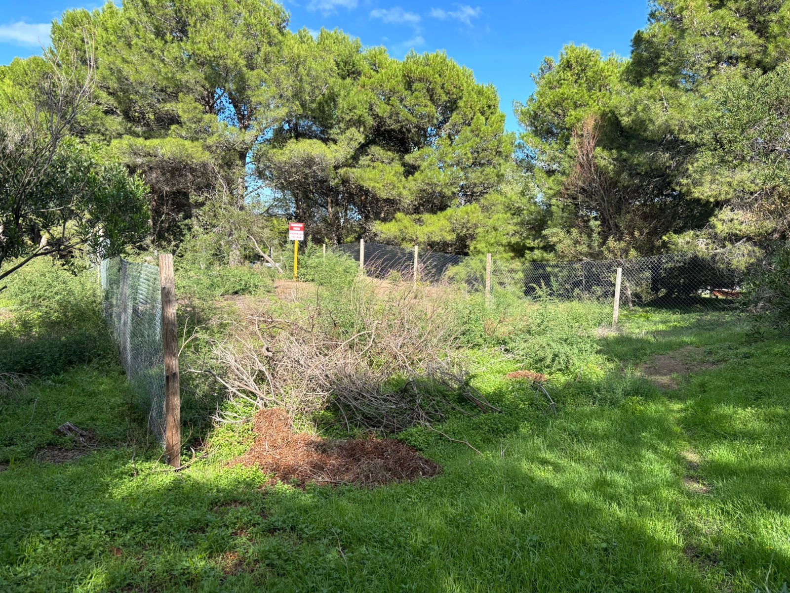 PULESTON 1800 · Monte Hermoso — foto 3