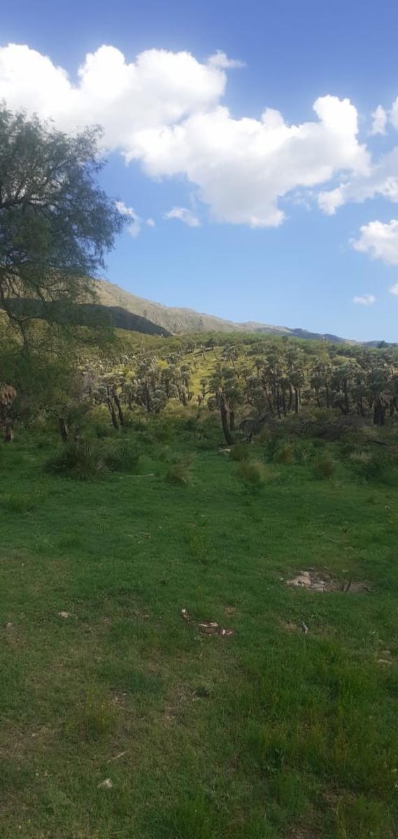 Ruta 1 km 41 · Chacabuco — foto 4
