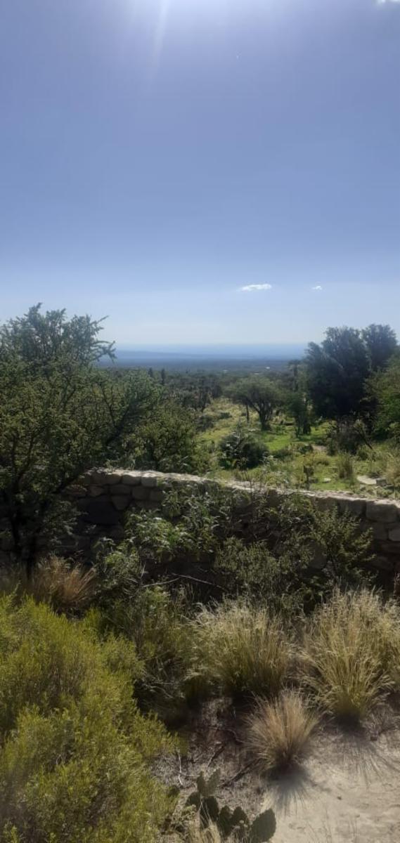 Ruta 1 km 41 · Chacabuco — foto 5