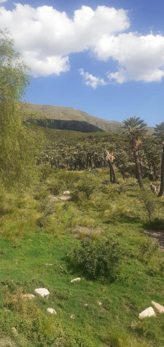 Ruta 1 km 41 · Chacabuco — foto 6