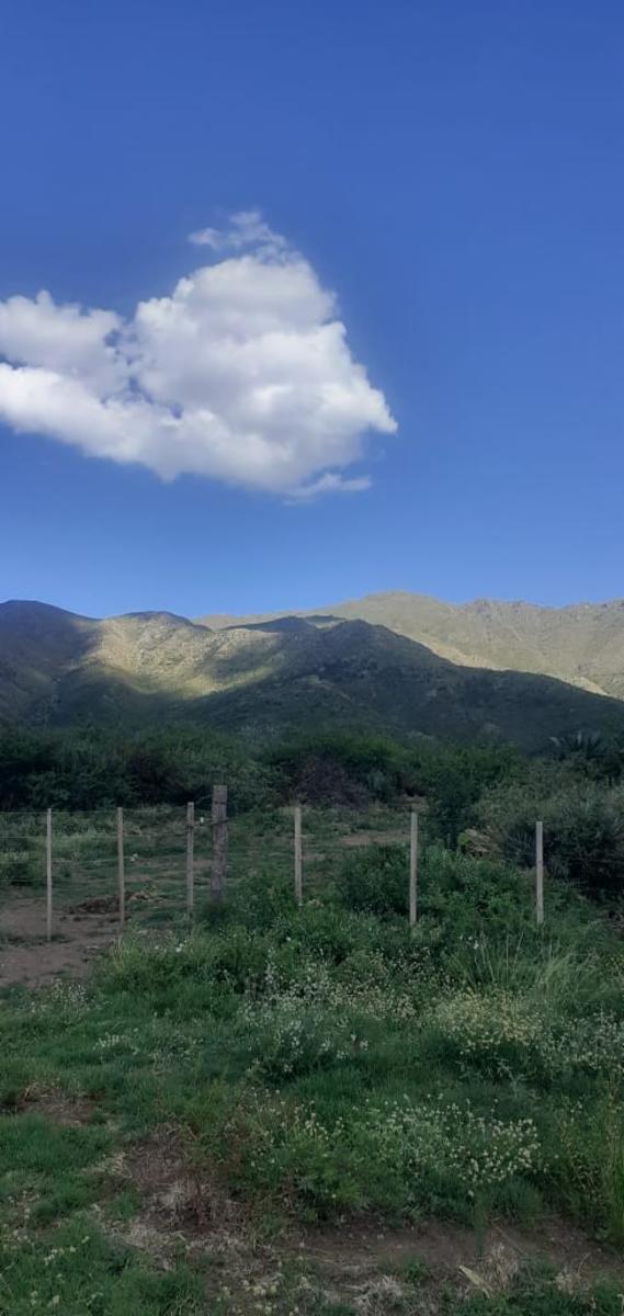 Ruta 1 km 41 · Chacabuco — foto 7