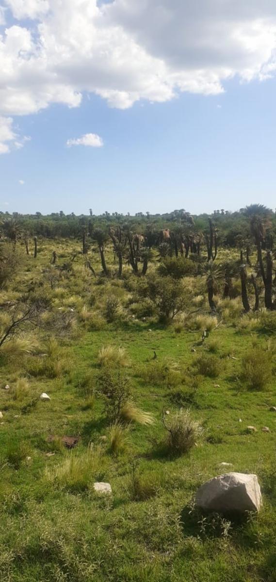 Ruta 1 km 41 · Chacabuco — foto 8