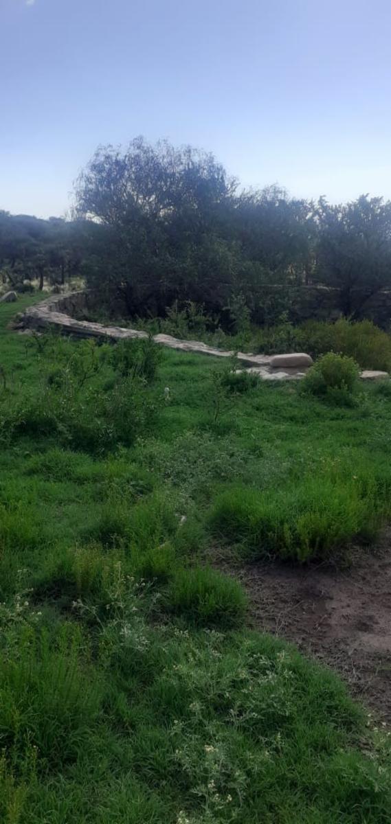 Ruta 1 km 41 · Chacabuco — foto 9