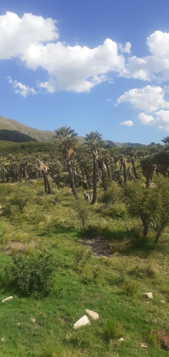 Ruta 1 km 41 · Chacabuco — foto 10