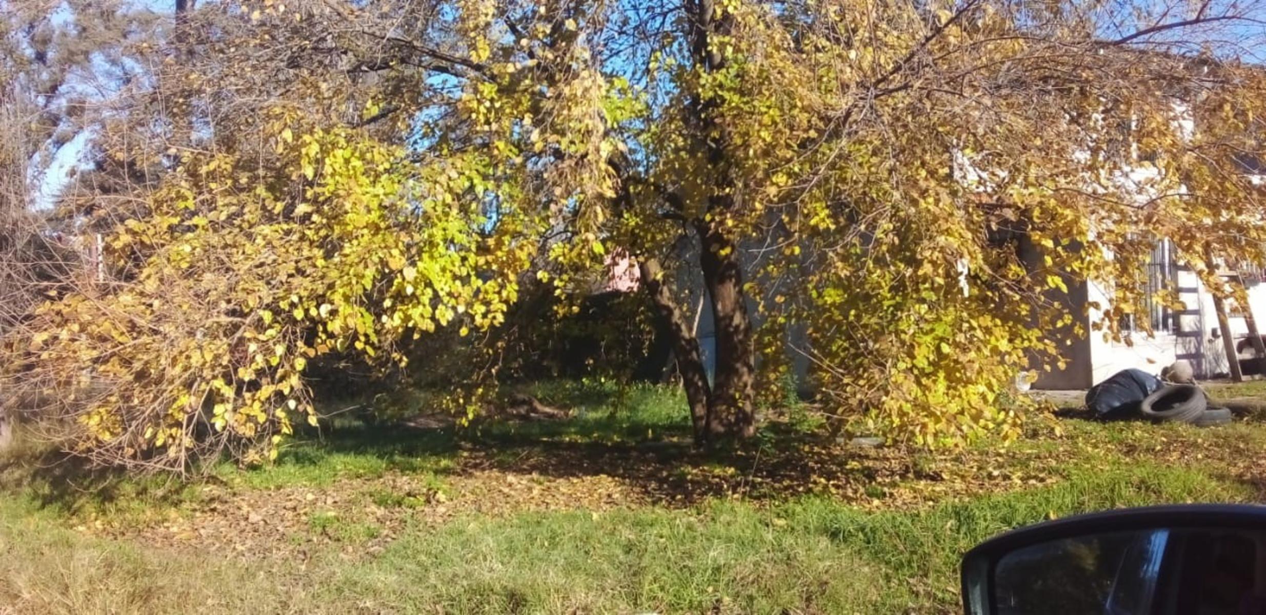 LOTE DE 15x31 LA REJA