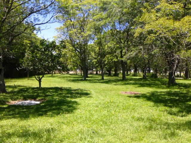 RUTA 7 KM 145.5 · Carmen De Areco — foto 5