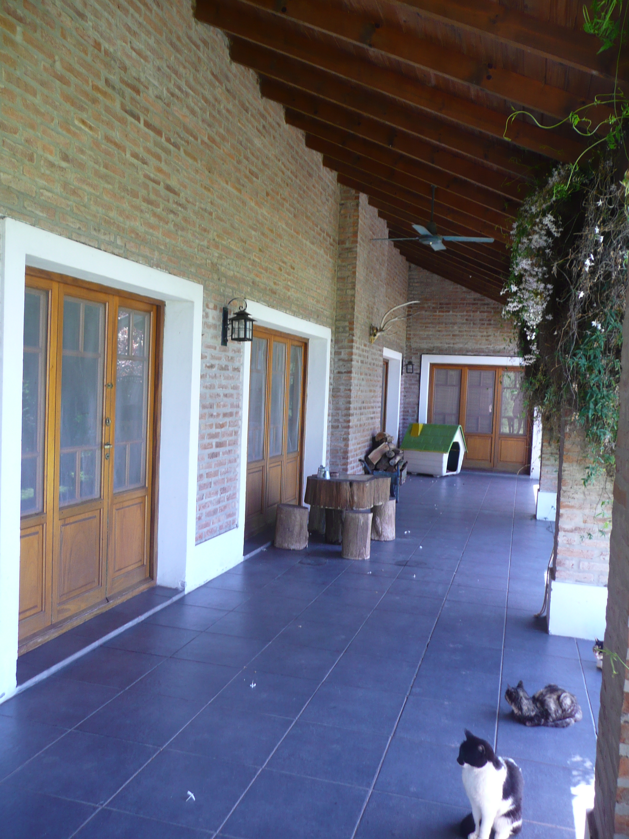 RUTA 7 KM 145.5 · Carmen De Areco — foto 10