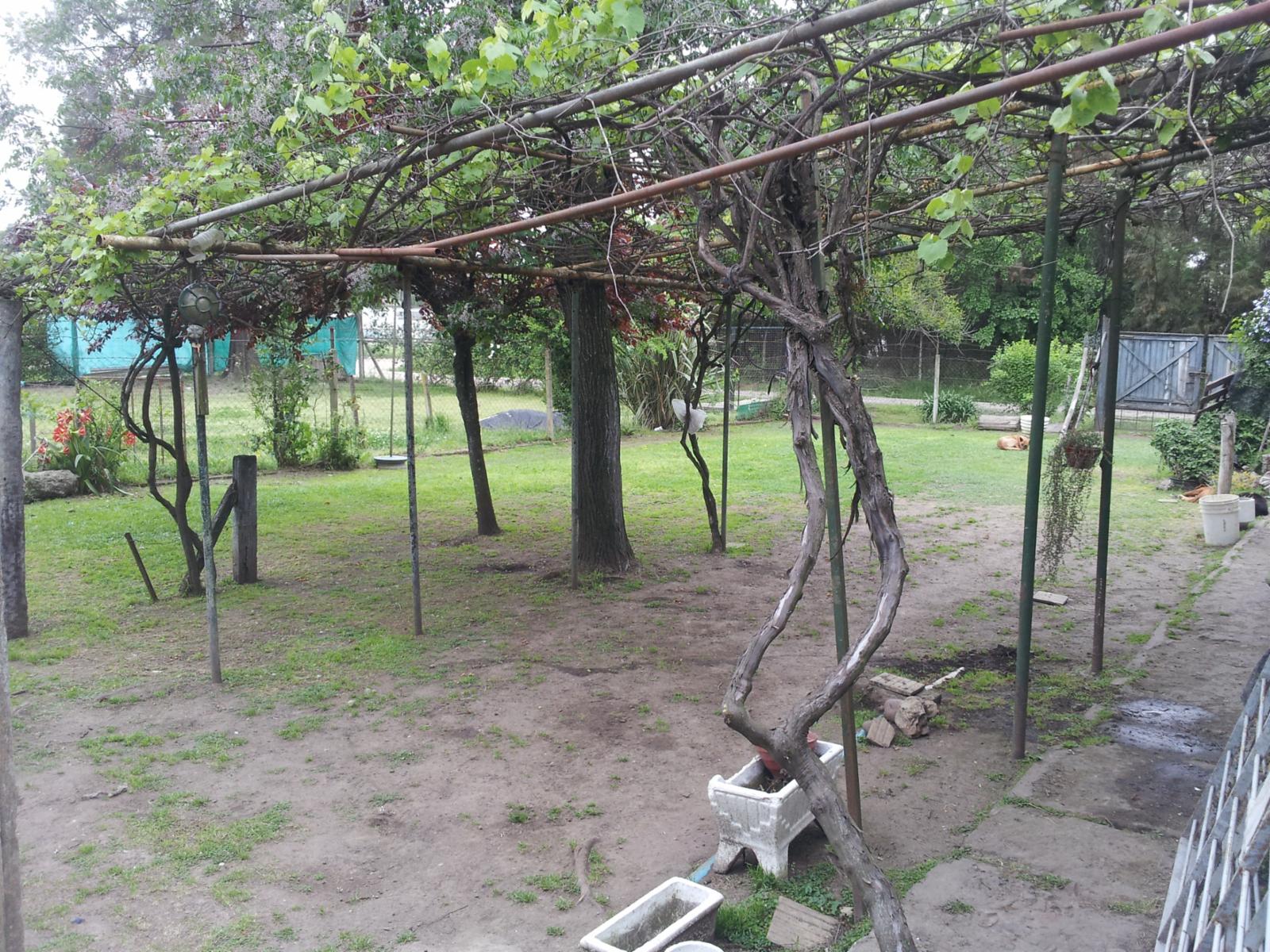 Encarnación · Moreno — foto 26