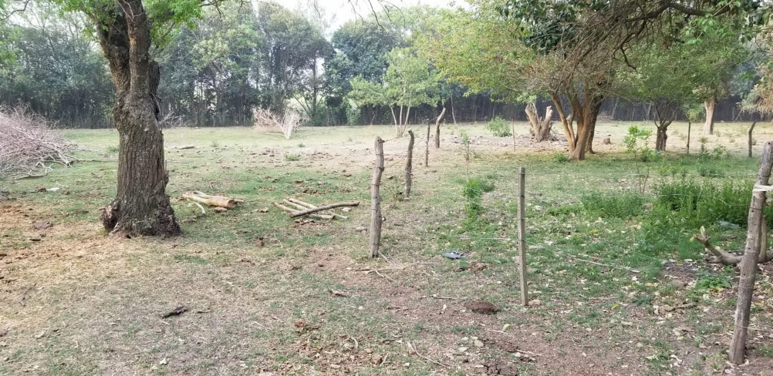 10 HAS DE CAMPO EN QUEBRACHITOS – DEPARTAMENTO VICTORIA