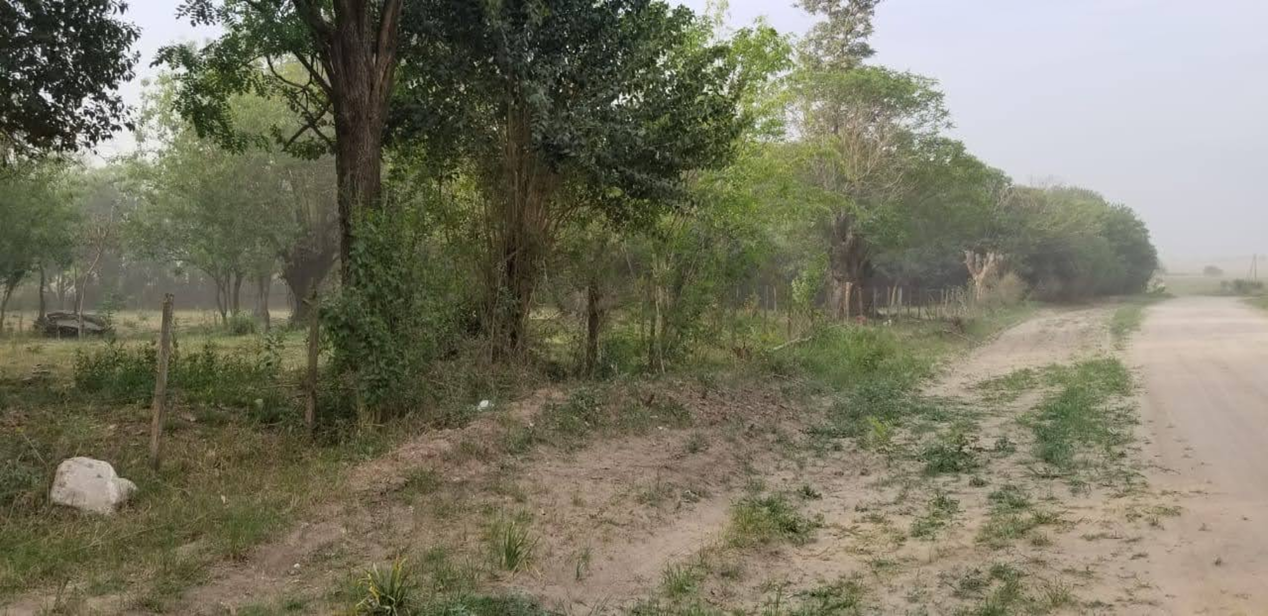 Distrito Quebrachitos - Departamento Victoria · Victoria — foto 3