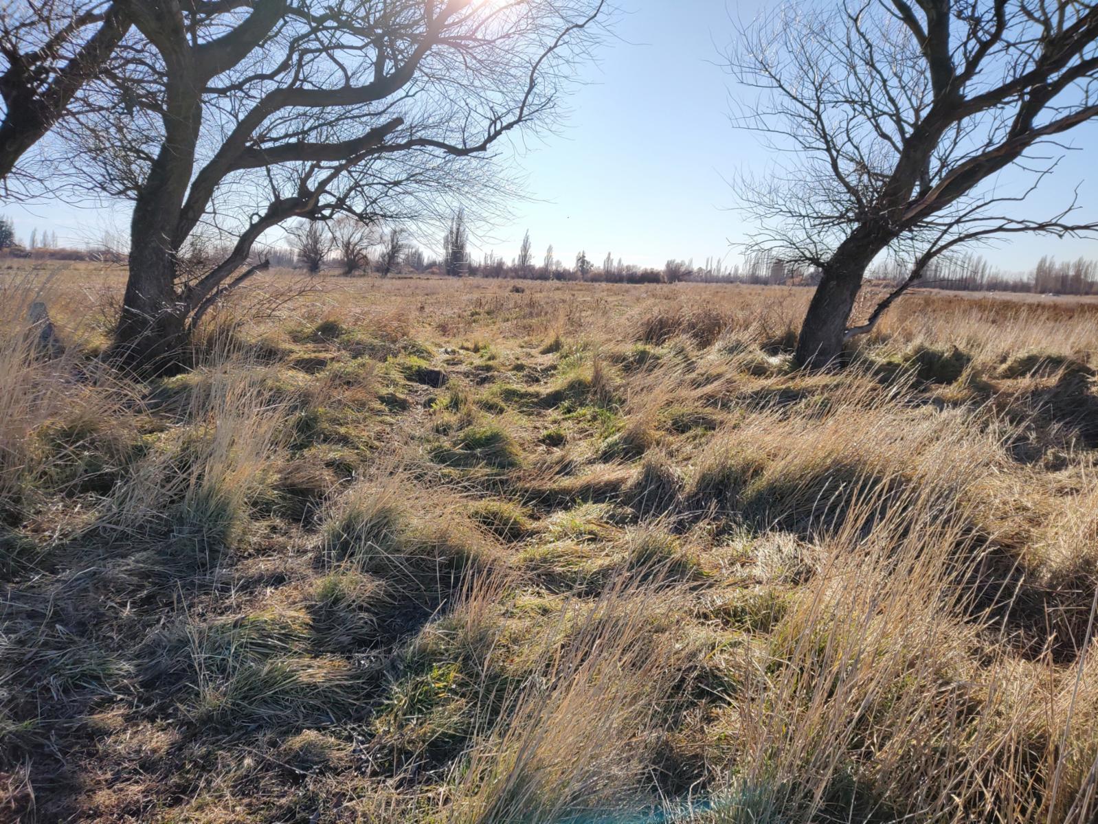 Ruta 7, entre Trelew y Gaiman · Rawson — foto 3