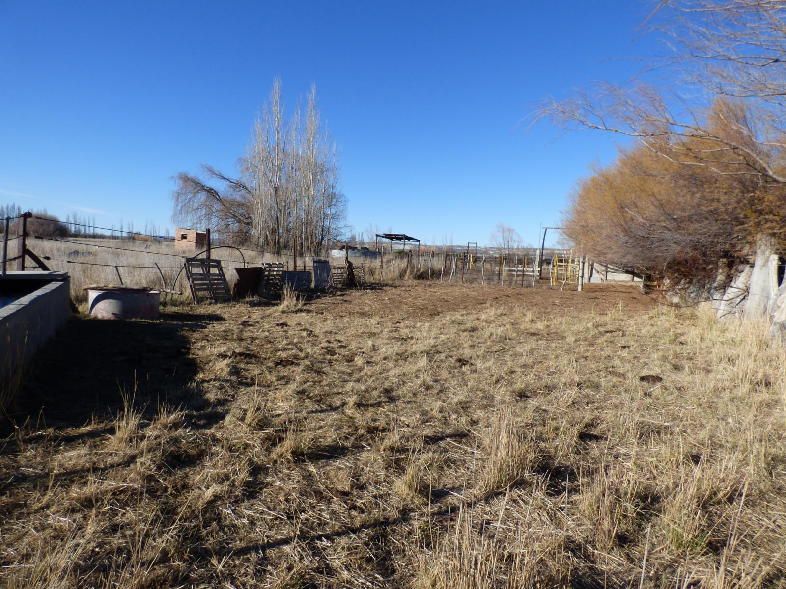 Ruta 7, entre Trelew y Gaiman · Rawson — foto 6