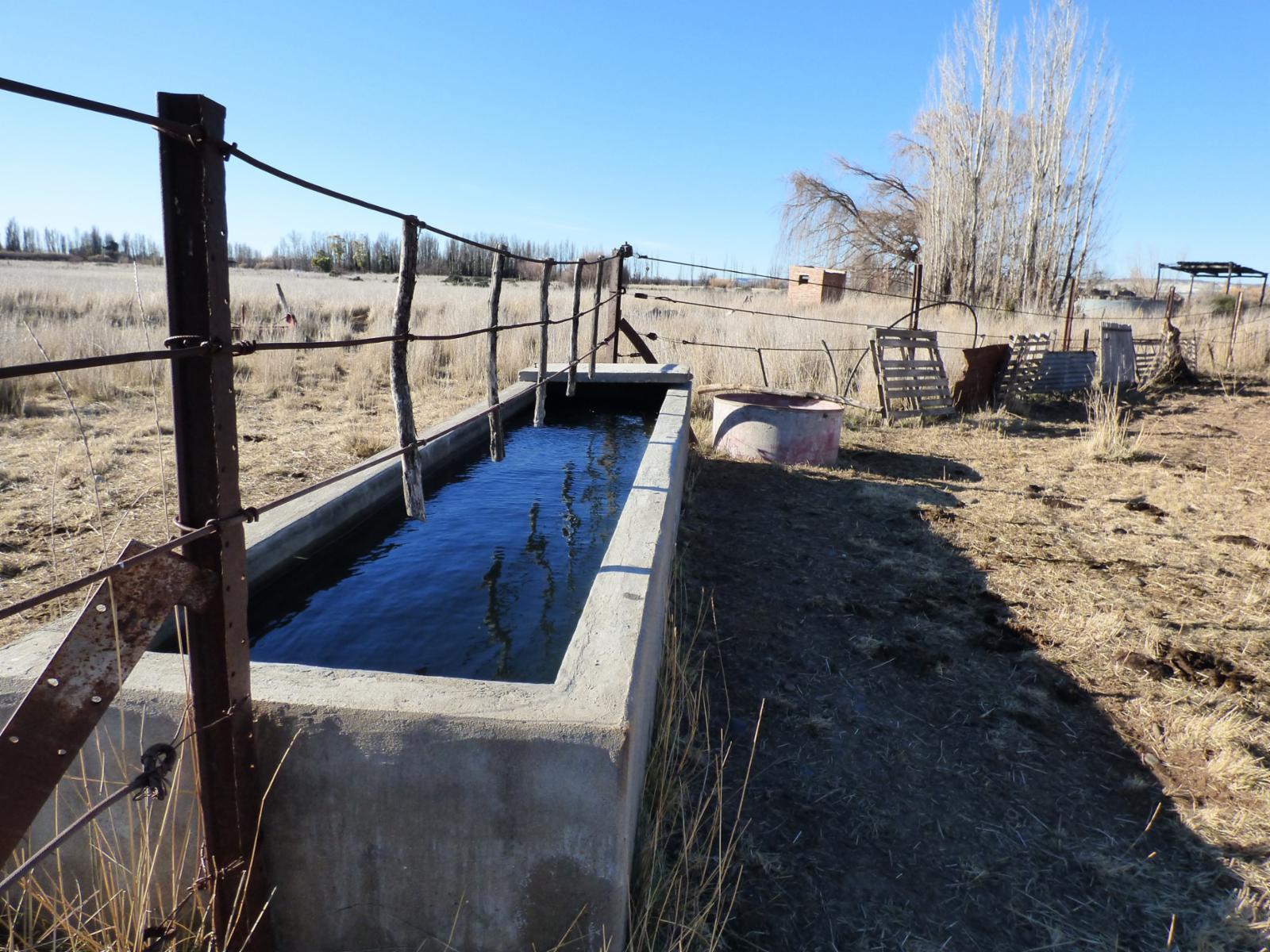 Ruta 7, entre Trelew y Gaiman · Rawson — foto 7