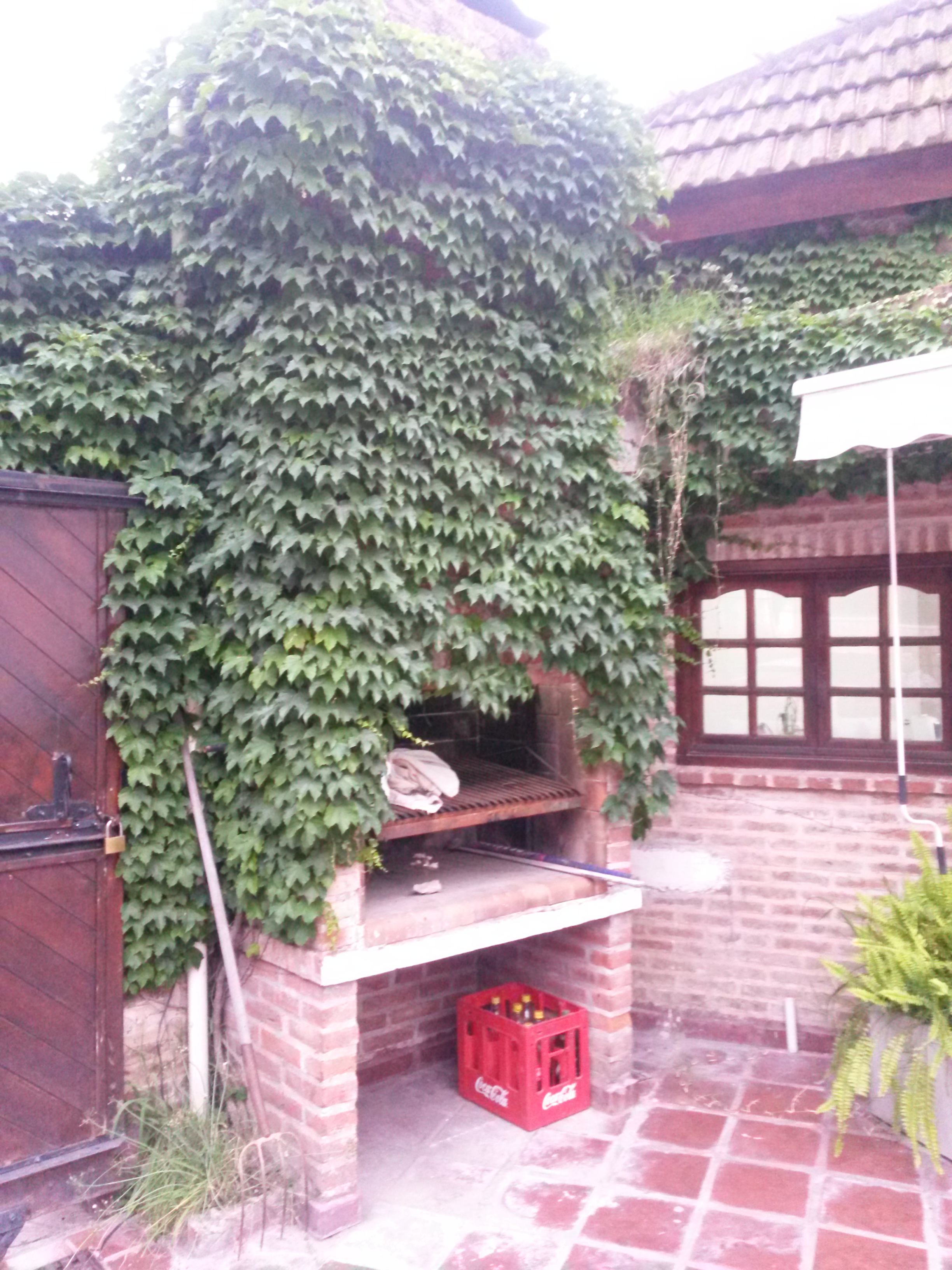 Pilar Del Viso · Pilar — foto 3