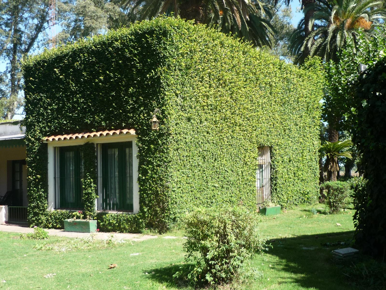 Fracción de 6 has. de  campo con vivienda