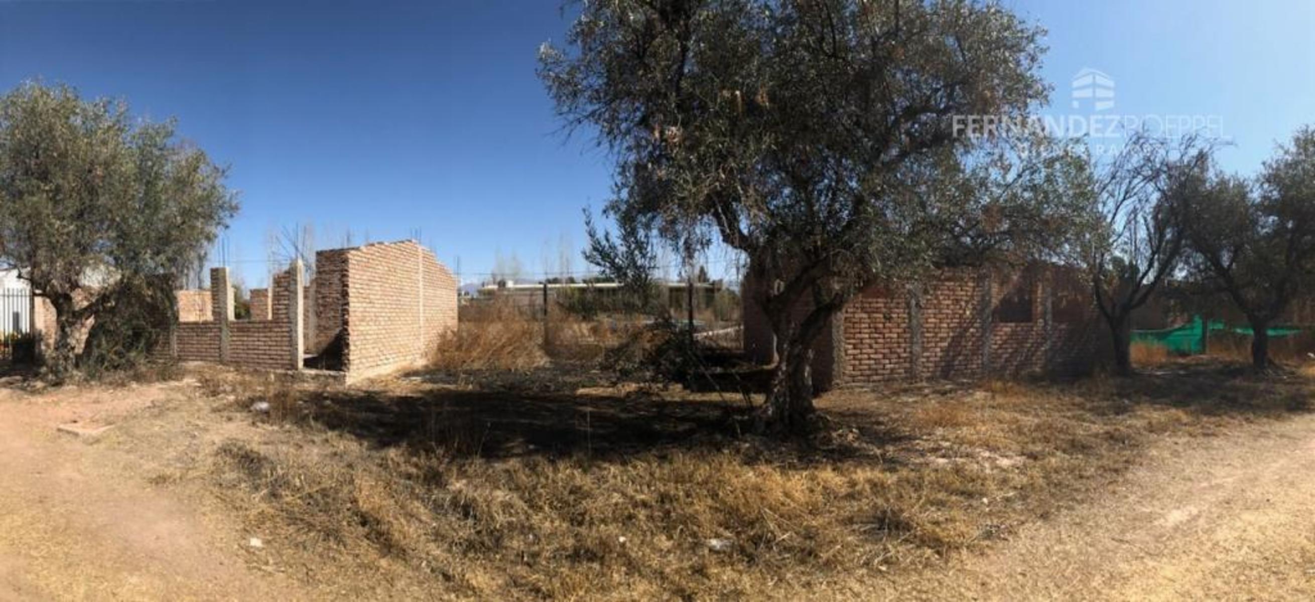 Araoz · Luján de Cuyo — foto 10
