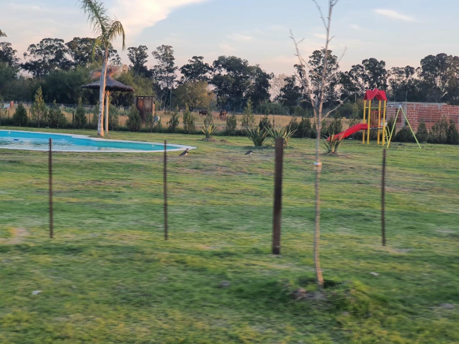 Pedro Quiroga · San Vicente — foto 6