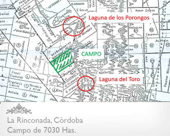CAMPO DE 7030 HAS. EN LA RINCONADA - CÓRDOBA - CAMPO PARA ARMAR - OPORTUNIDAD!