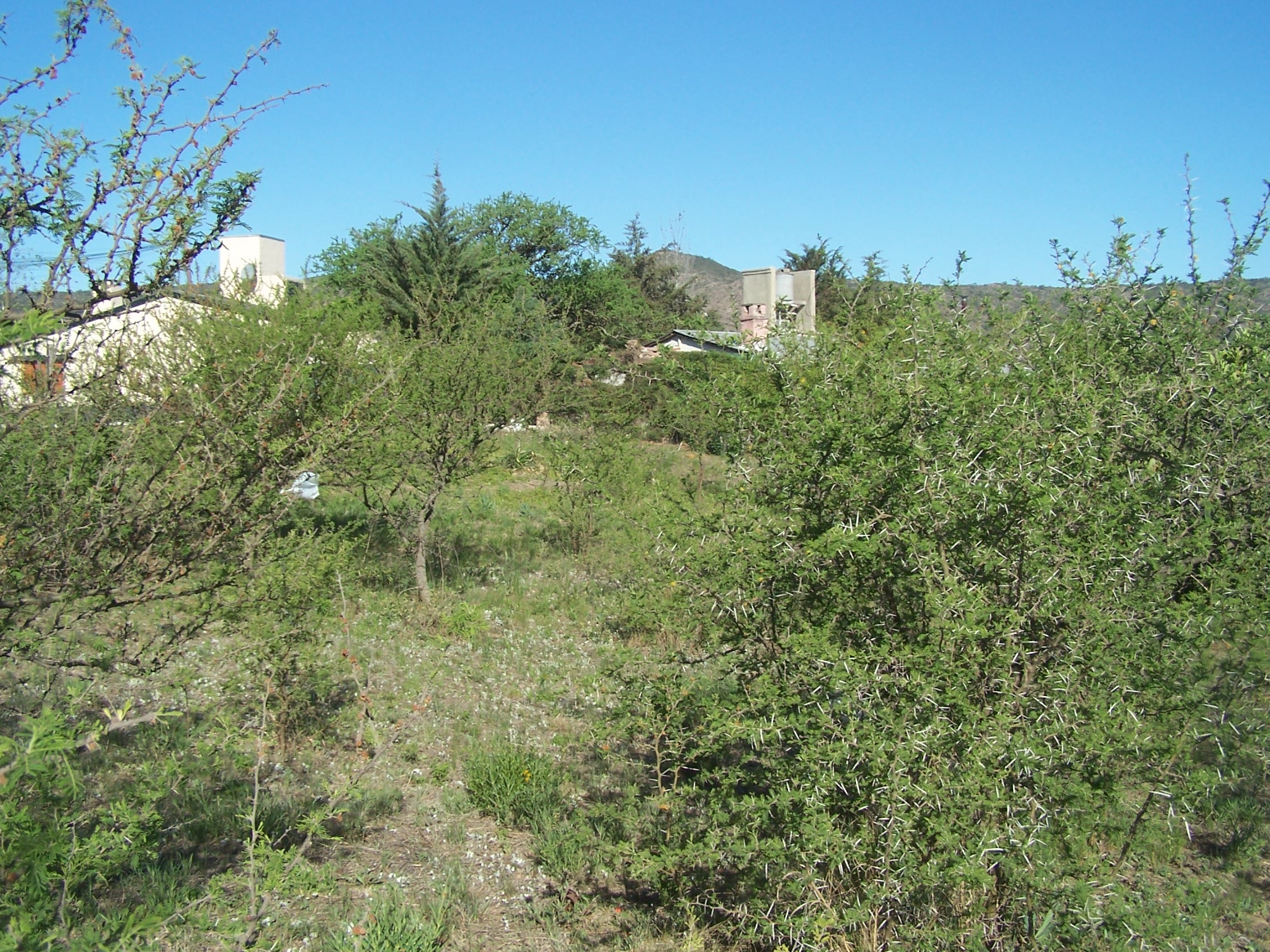 Playas de oro · Punilla — foto 3