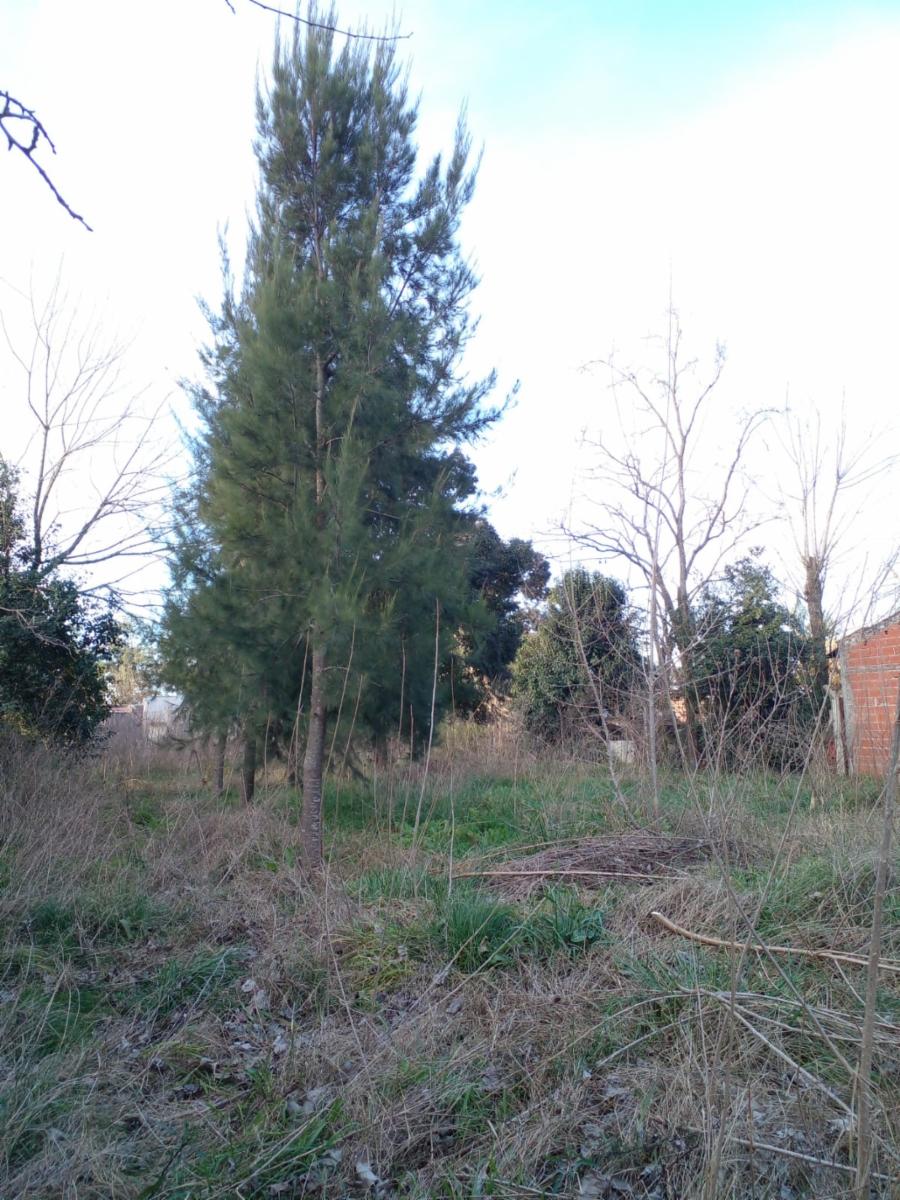 Pasteur · Brandsen — foto 3