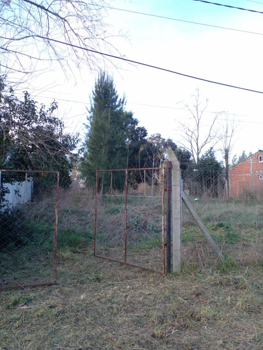 Pasteur · Brandsen — foto 6